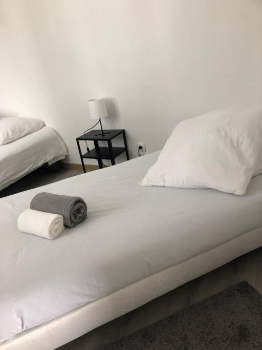 Apartment 10 Minutes De Chessy (Seine-et-Marne)